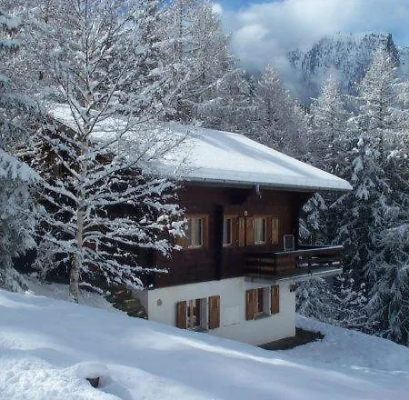 Domek alpejski Chalet Karin *
